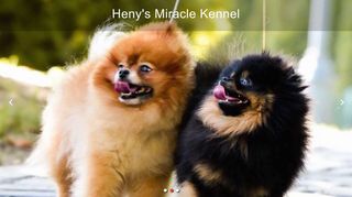 Heny's Miracle Kennel